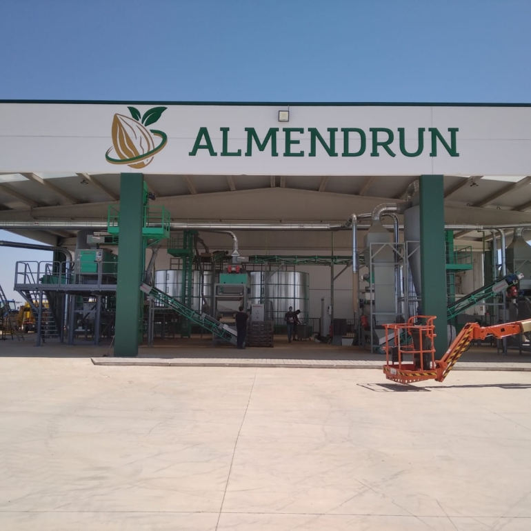 ALMENDRUN (TOMELLOSO) (1)